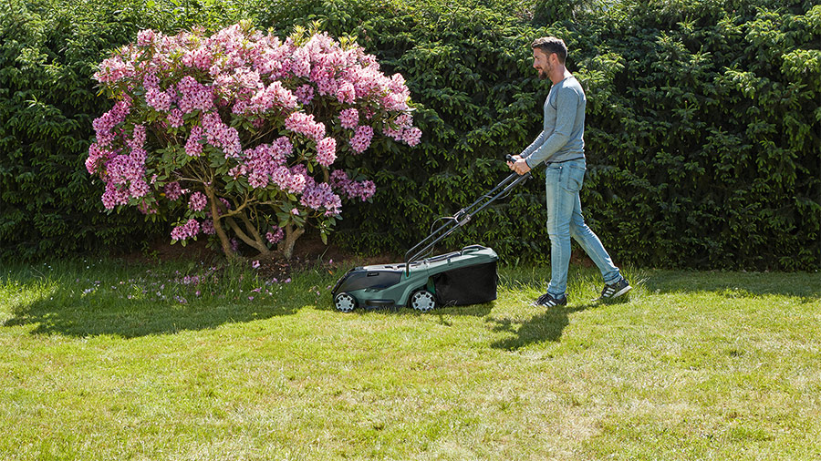 prix avis tondeuse sans fil bosch advancedrotak pas cher promotion prix avis tondeuse sans fil bosch advancedrotak pas cher promotion